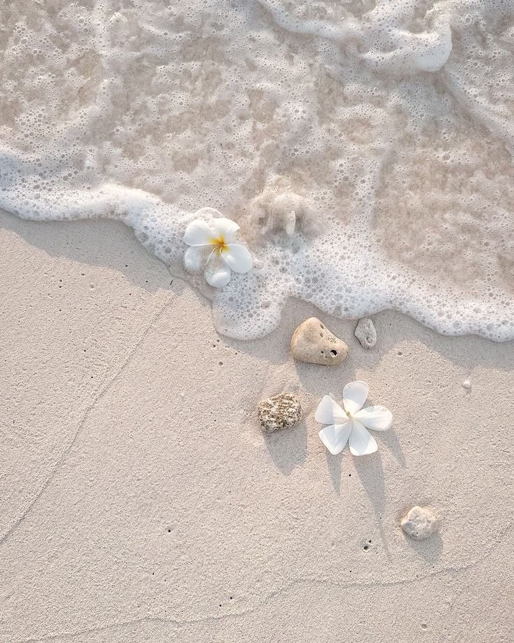 Authentic Goa: Off-Season Experiences You’ll Love