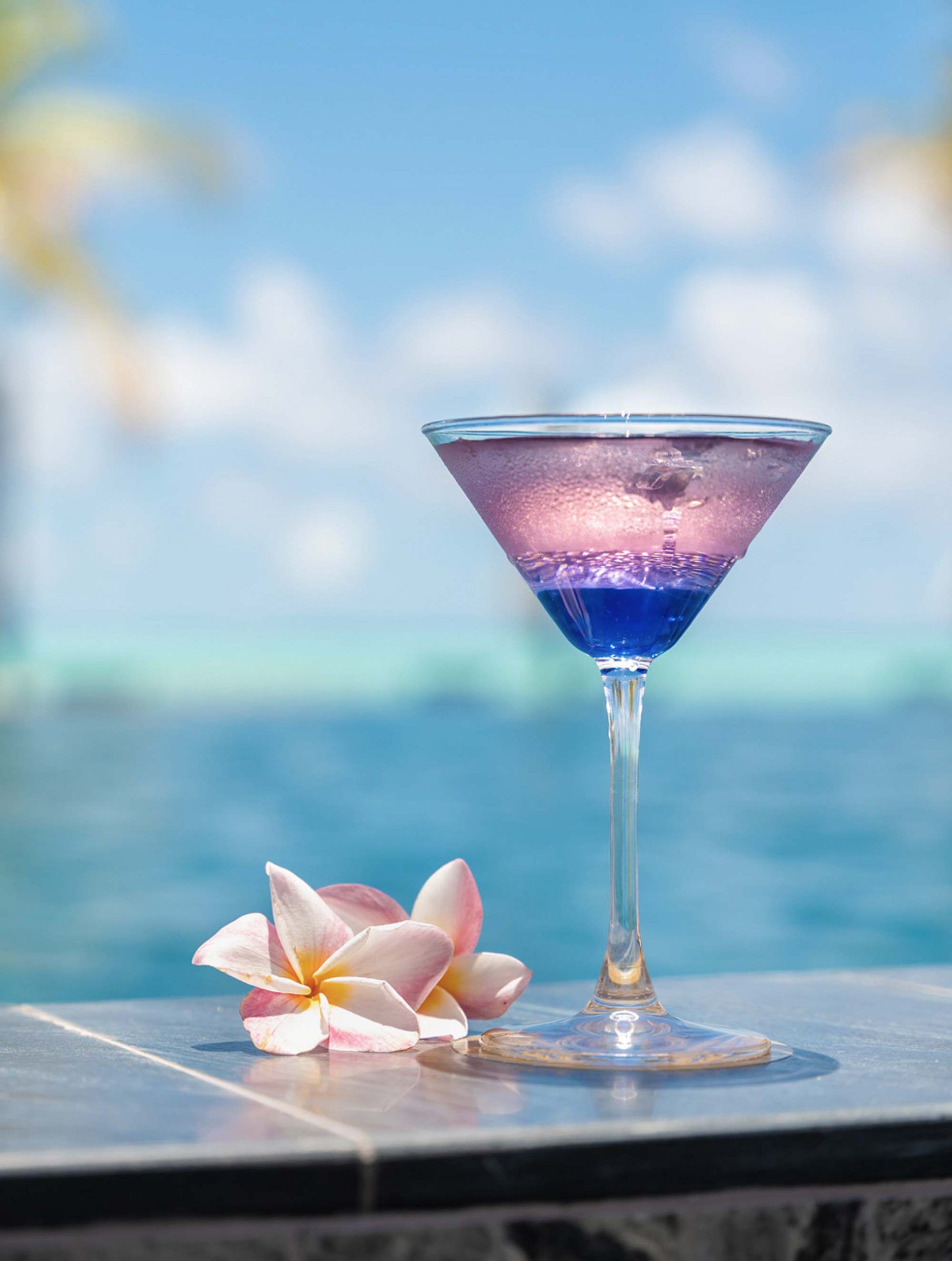 dining pg splash bar