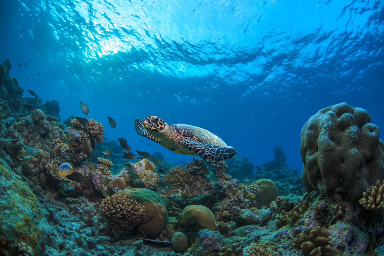 e595005b 9ccf 4a2d aeae 71d9831e48d3