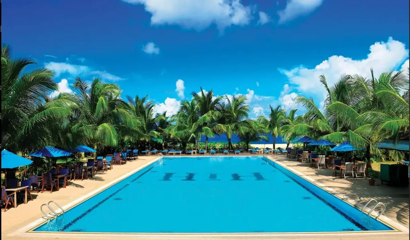 Black Friday Sale: 30%