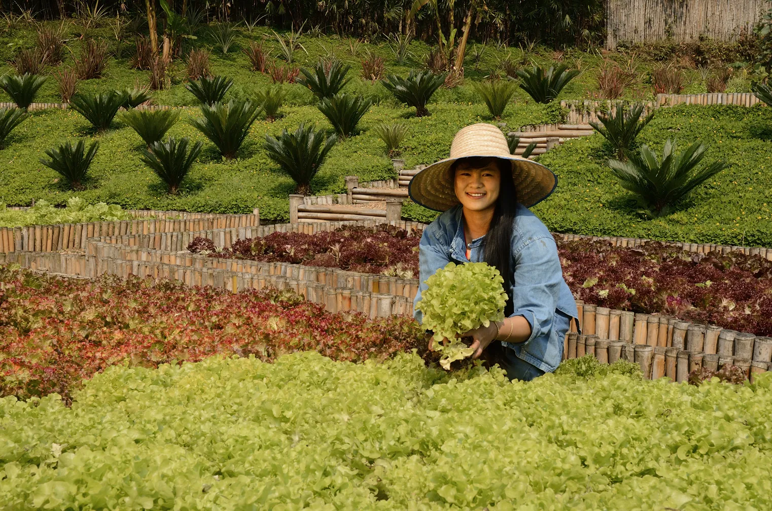 Local & Ethical Sourcing