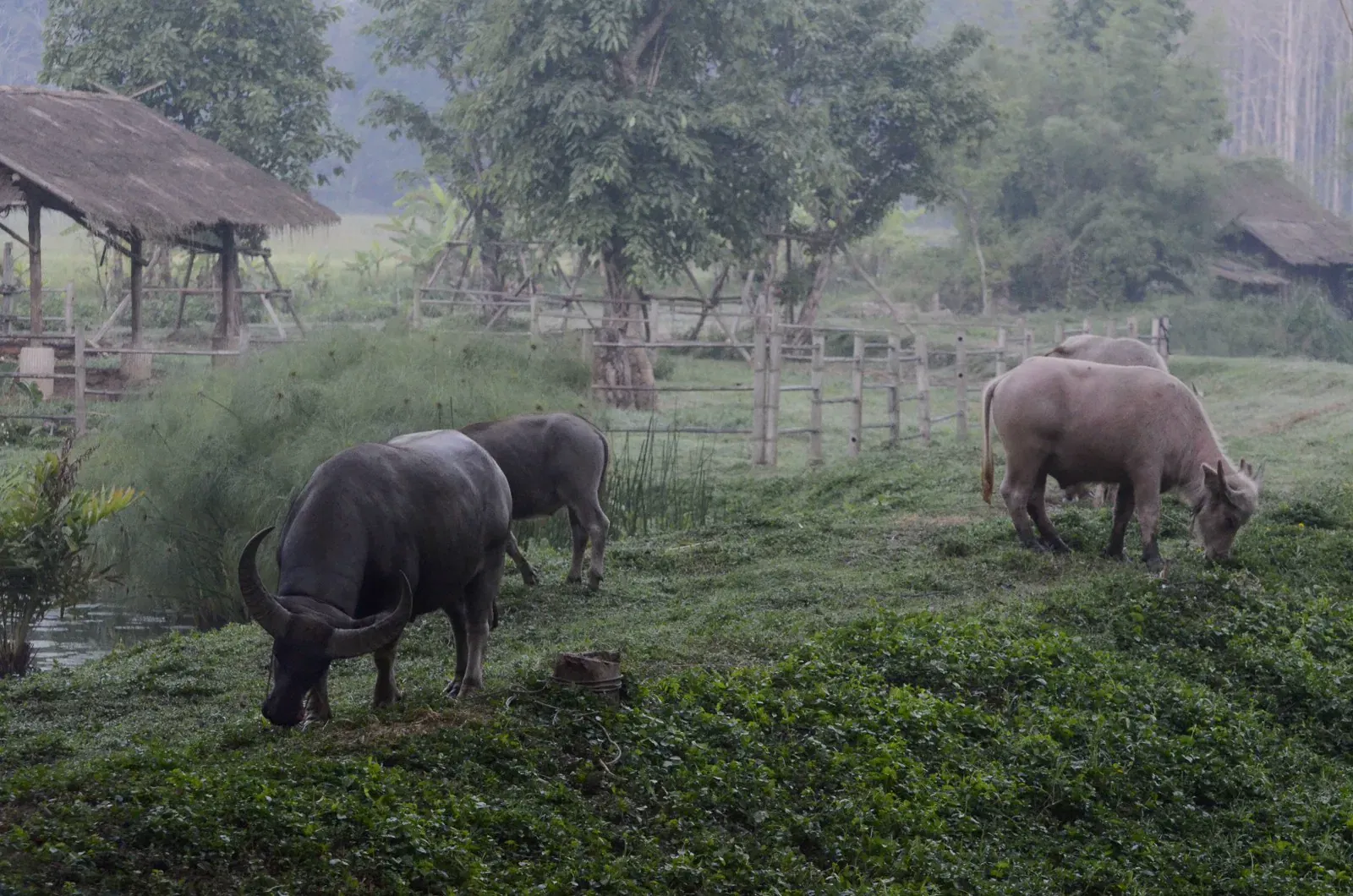 Sustainable Guest Experiences