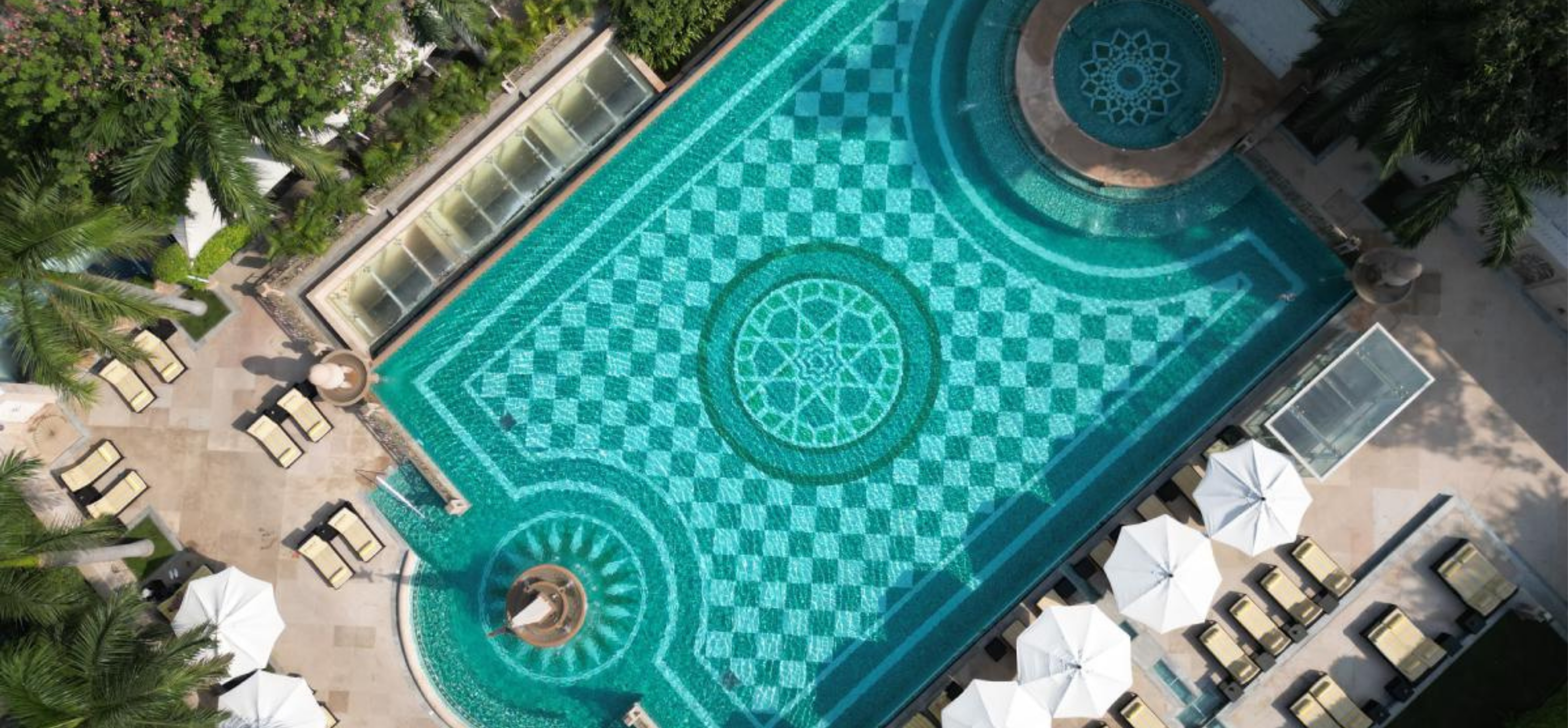 Special Offers | Especially Curated for you