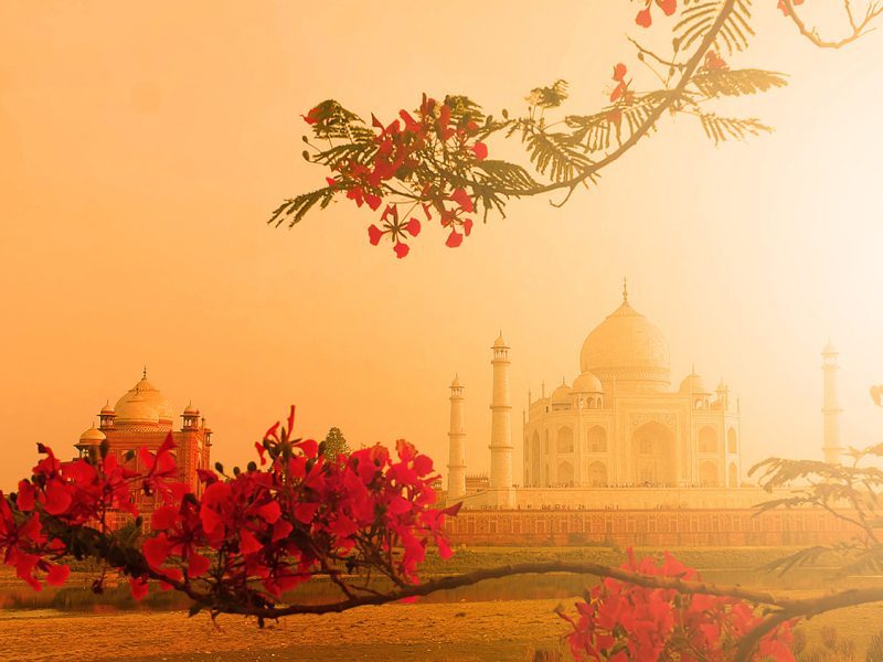 A Taste of India - The Imperial