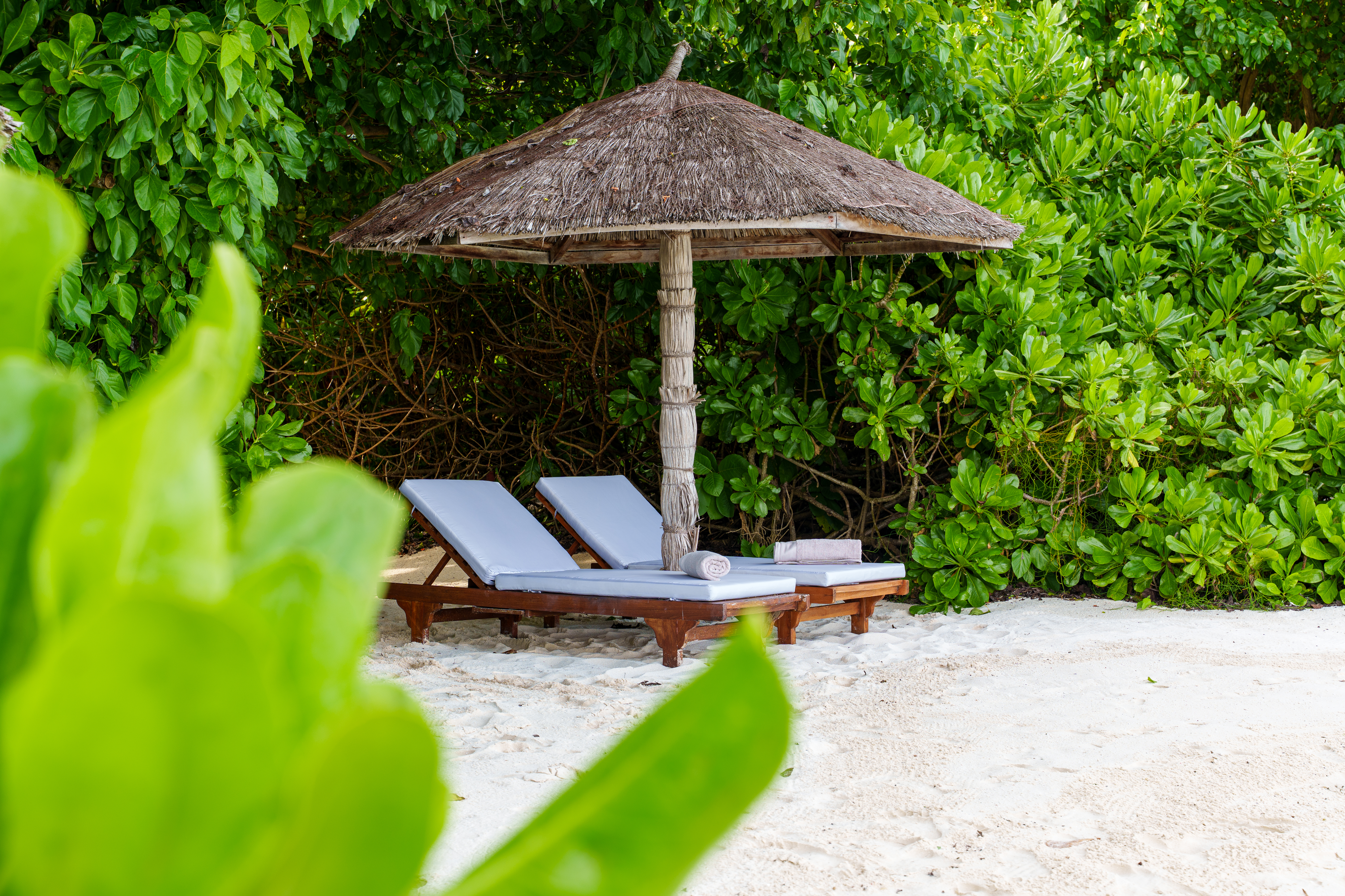 Deluxe Beach Pool Villas