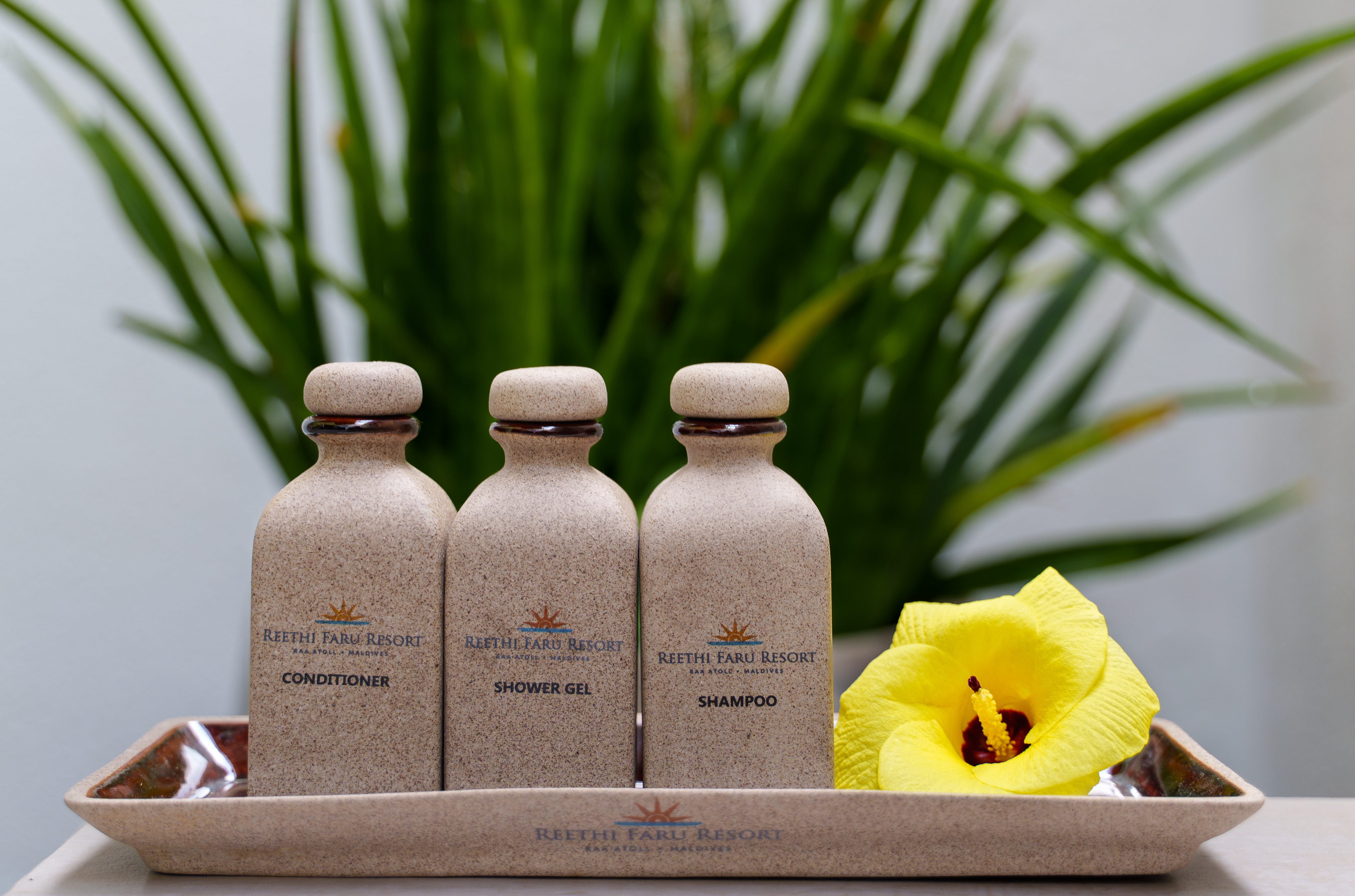 Suite Deluxe con due camere da letto sulla spiaggia