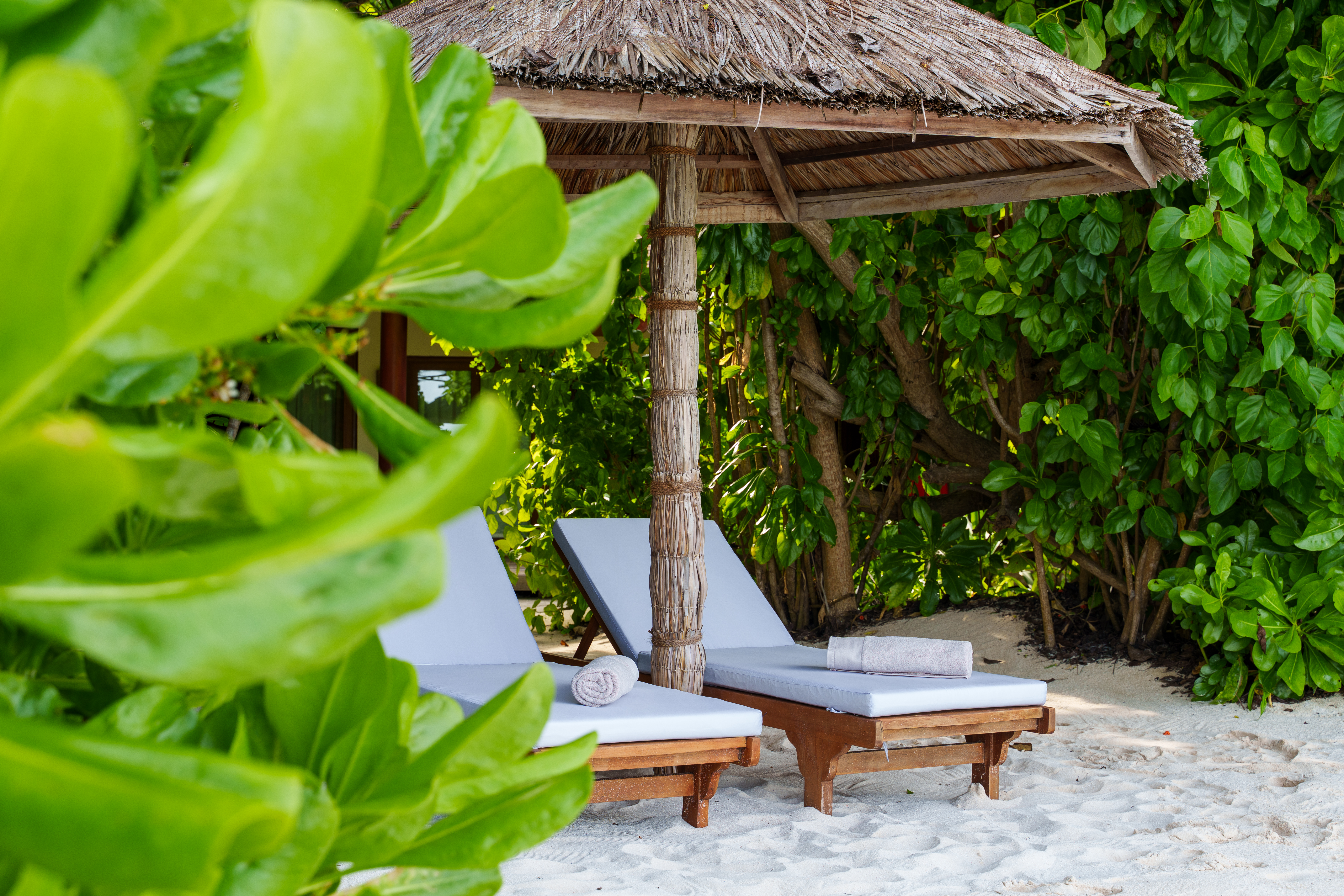 Deluxe Two Bedroom Beach Suites