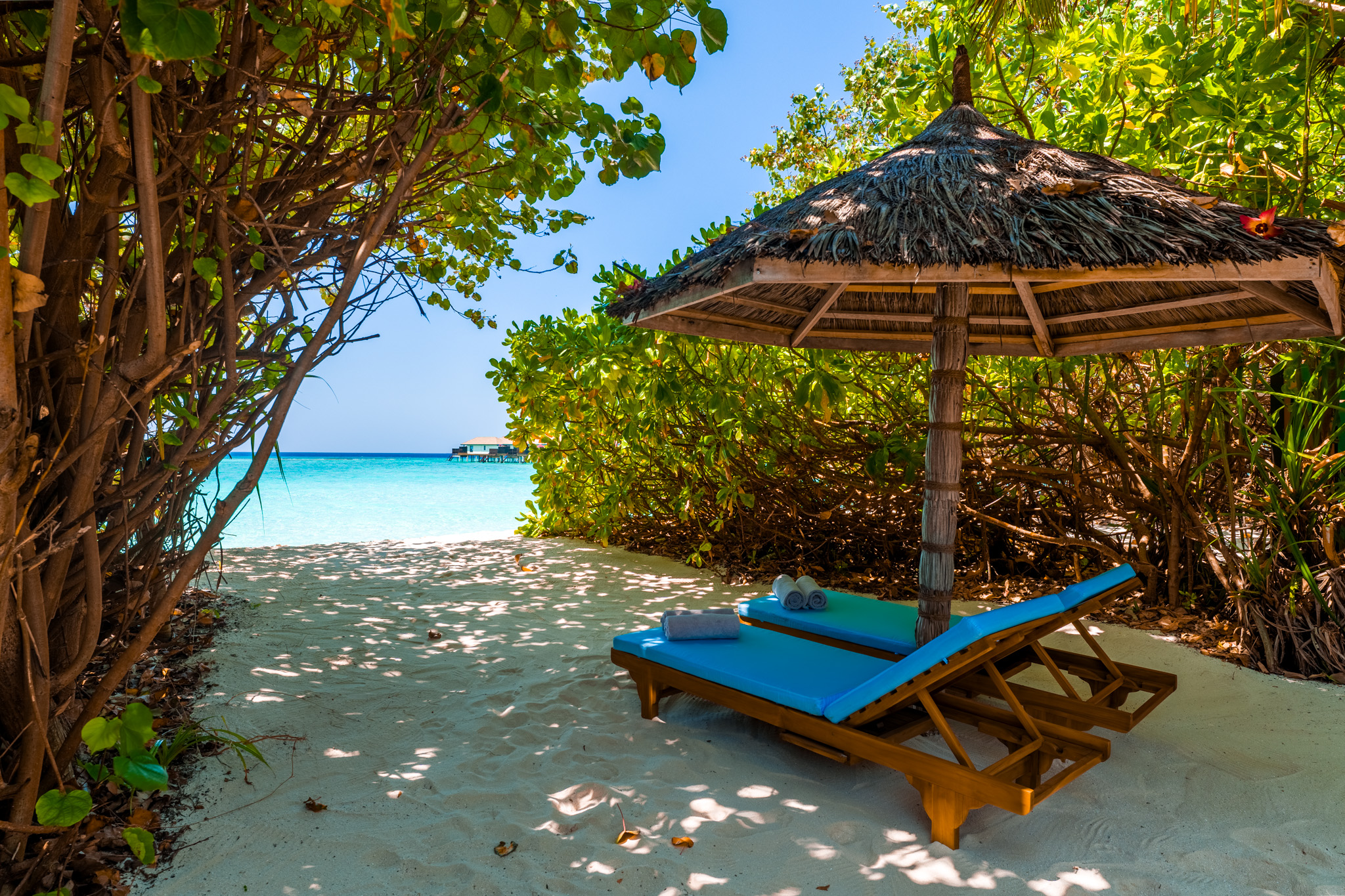 Suite Deluxe con due camere da letto sulla spiaggia