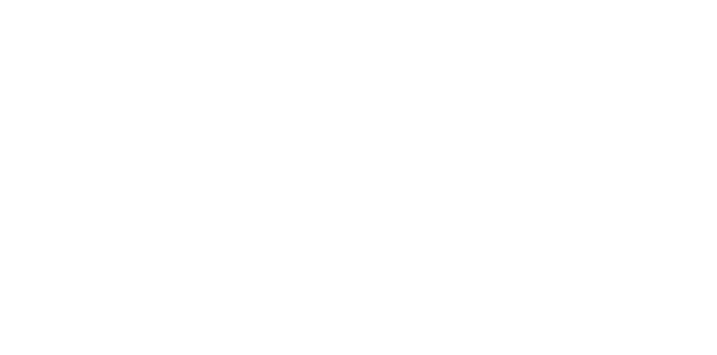 preferred lifestyle logo