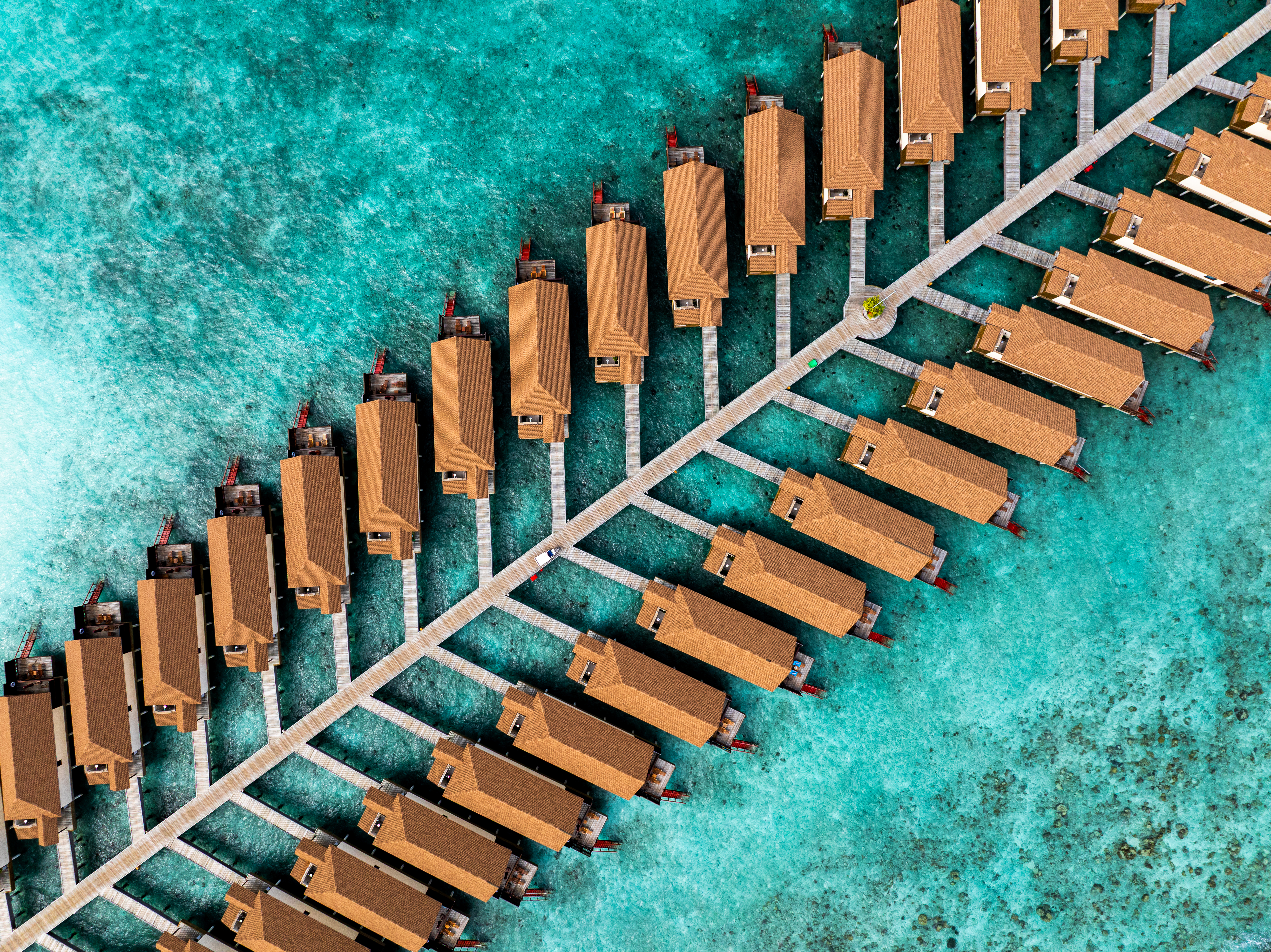 reethi faru resort gallery image 168