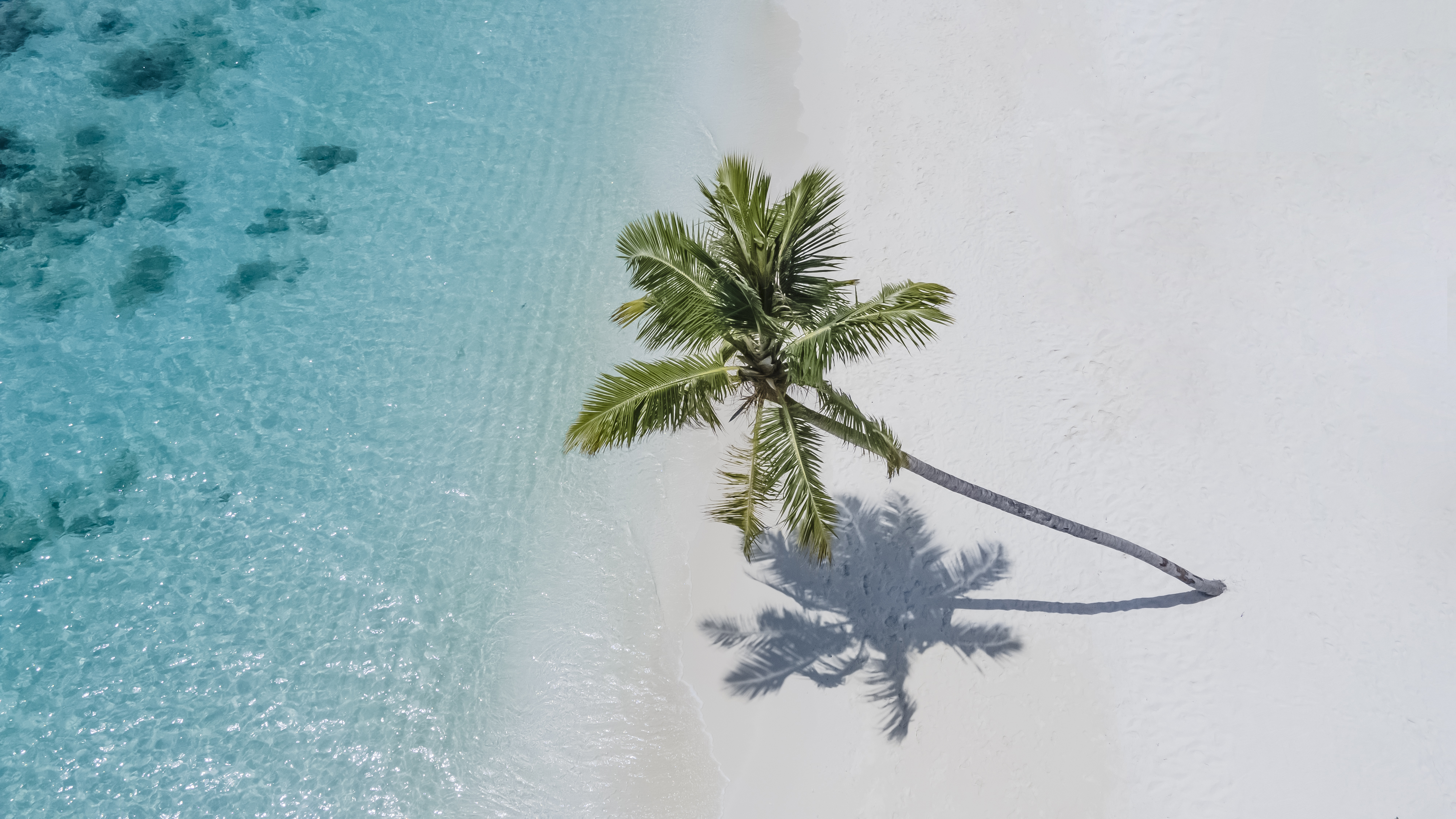 reethi faru resort gallery image 21