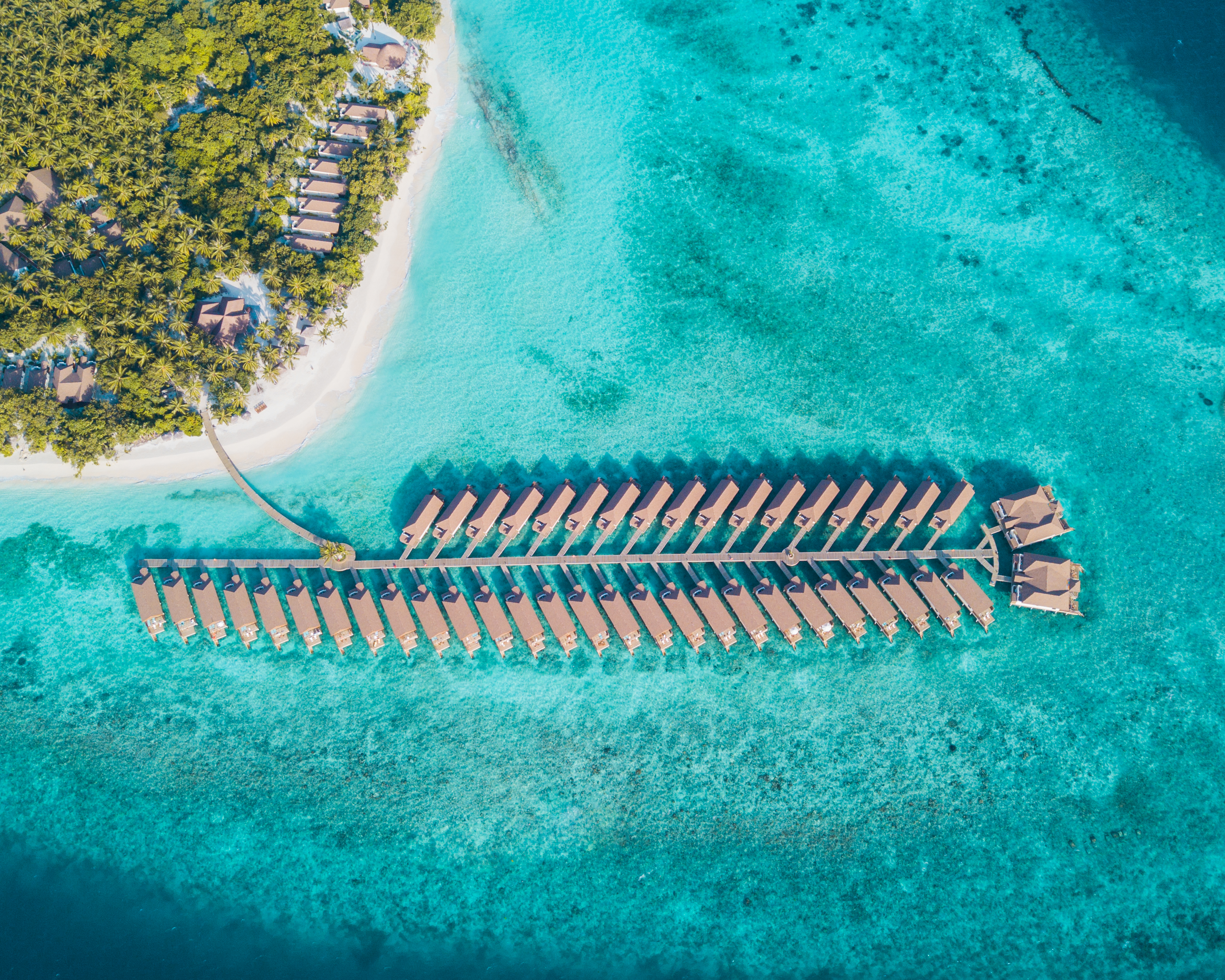 reethi faru resort gallery image 18