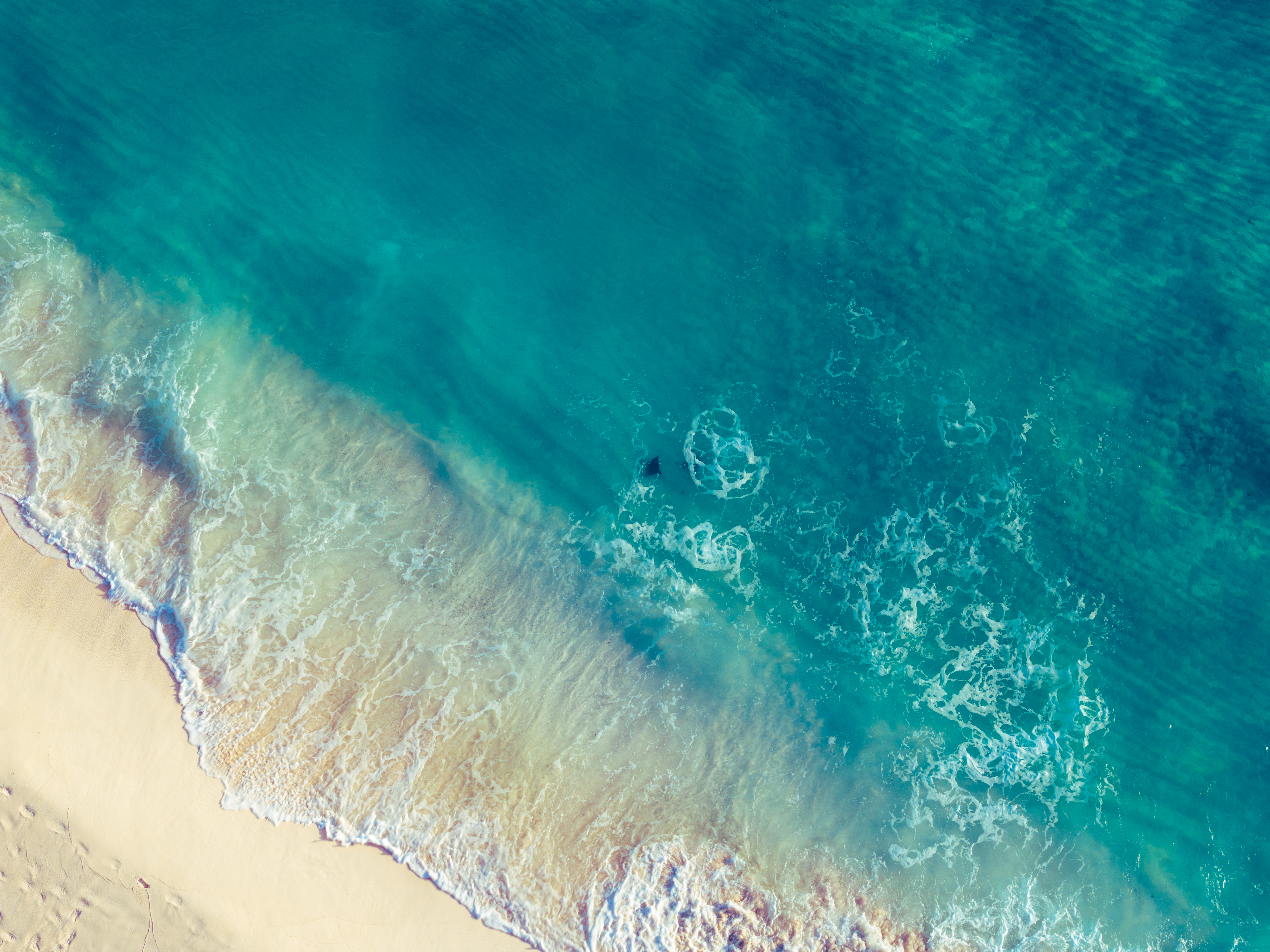 reethi faru resort gallery image 5