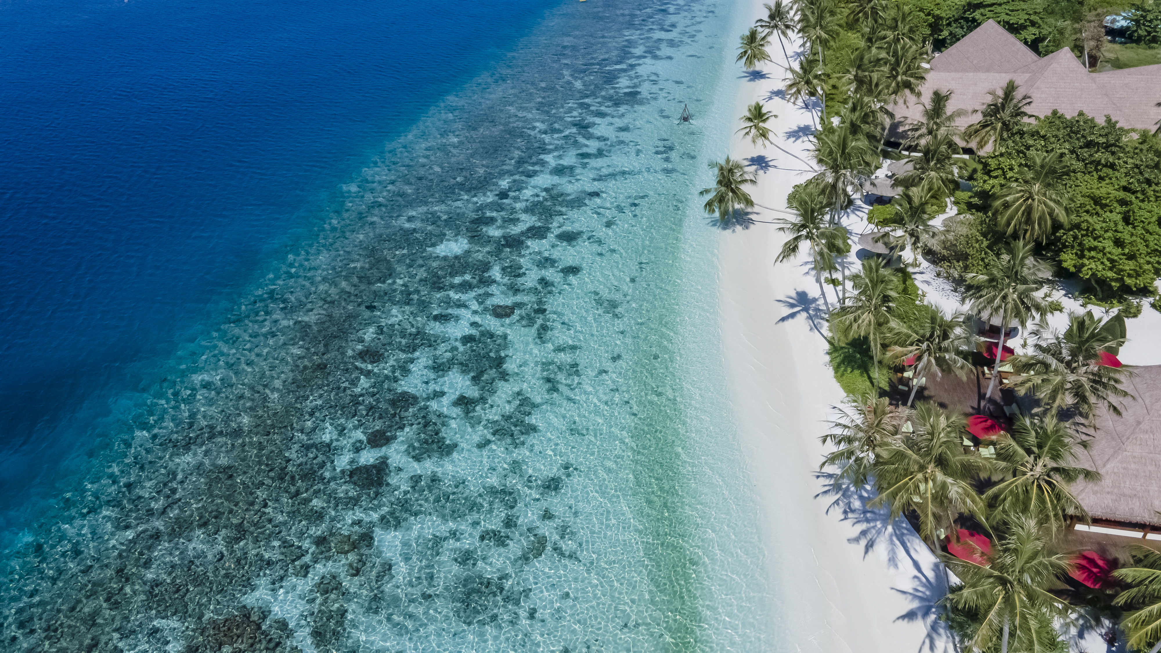 reethi faru resort gallery image 17