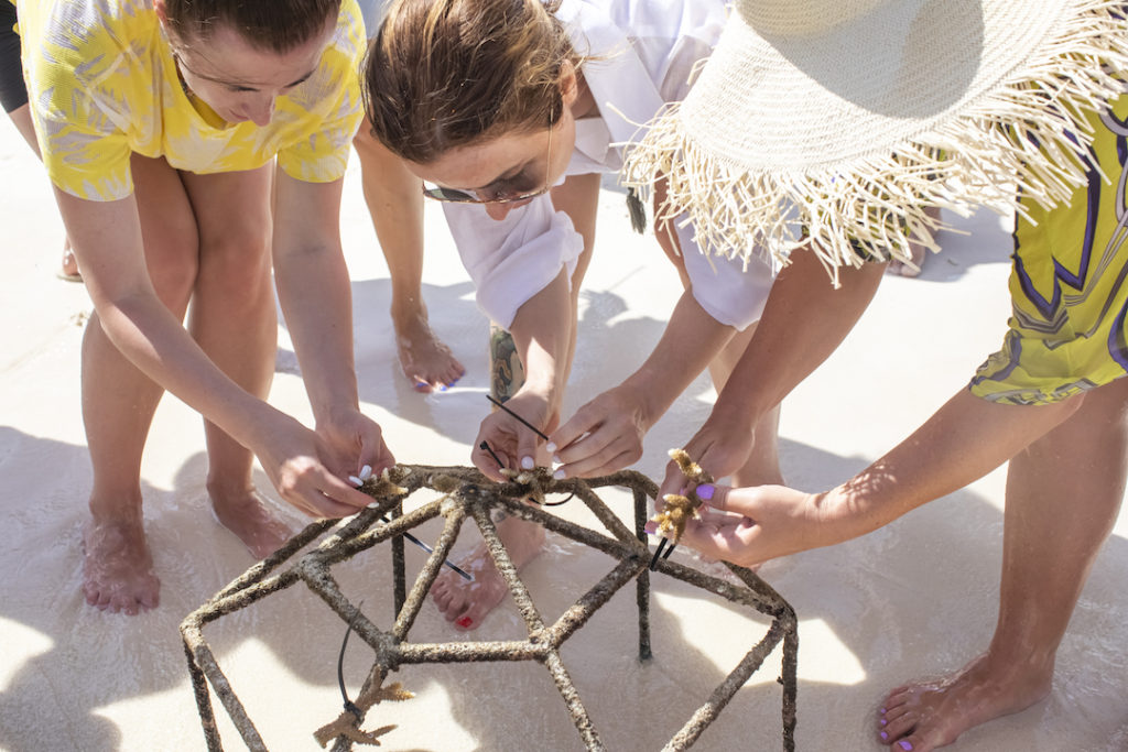 reethi faru resort gallery image 58