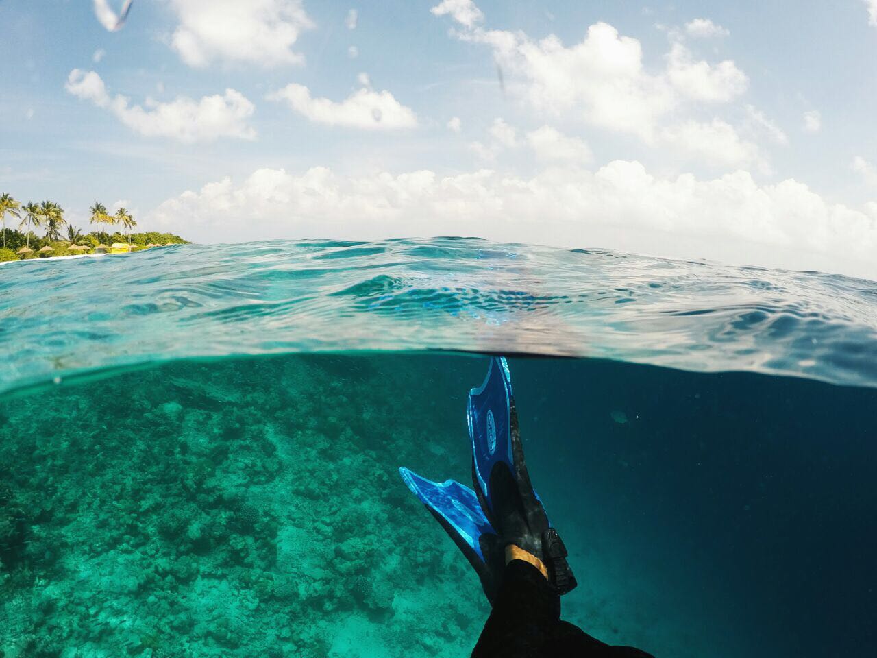 reethi faru resort gallery image 41