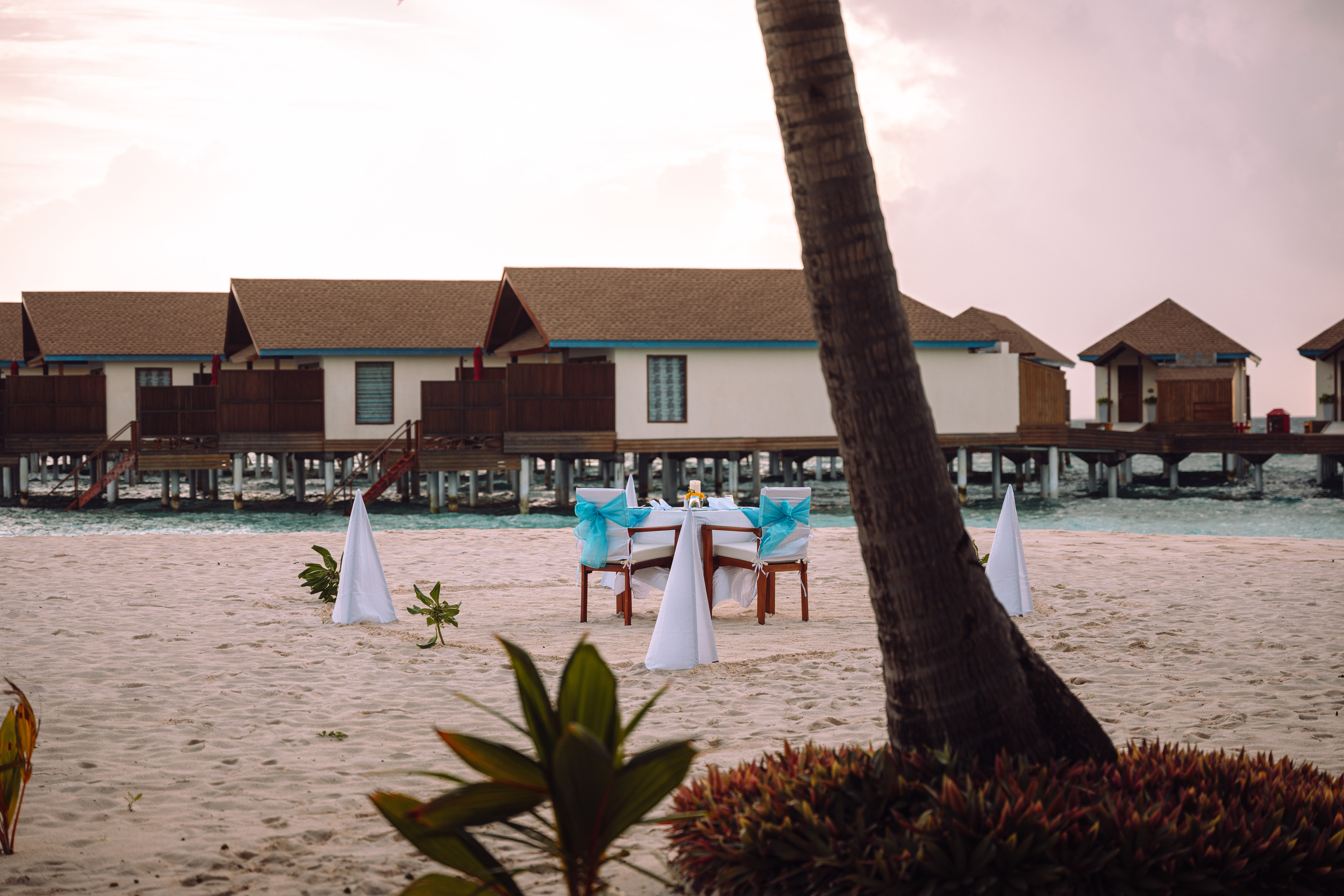 reethi faru resort gallery image 251