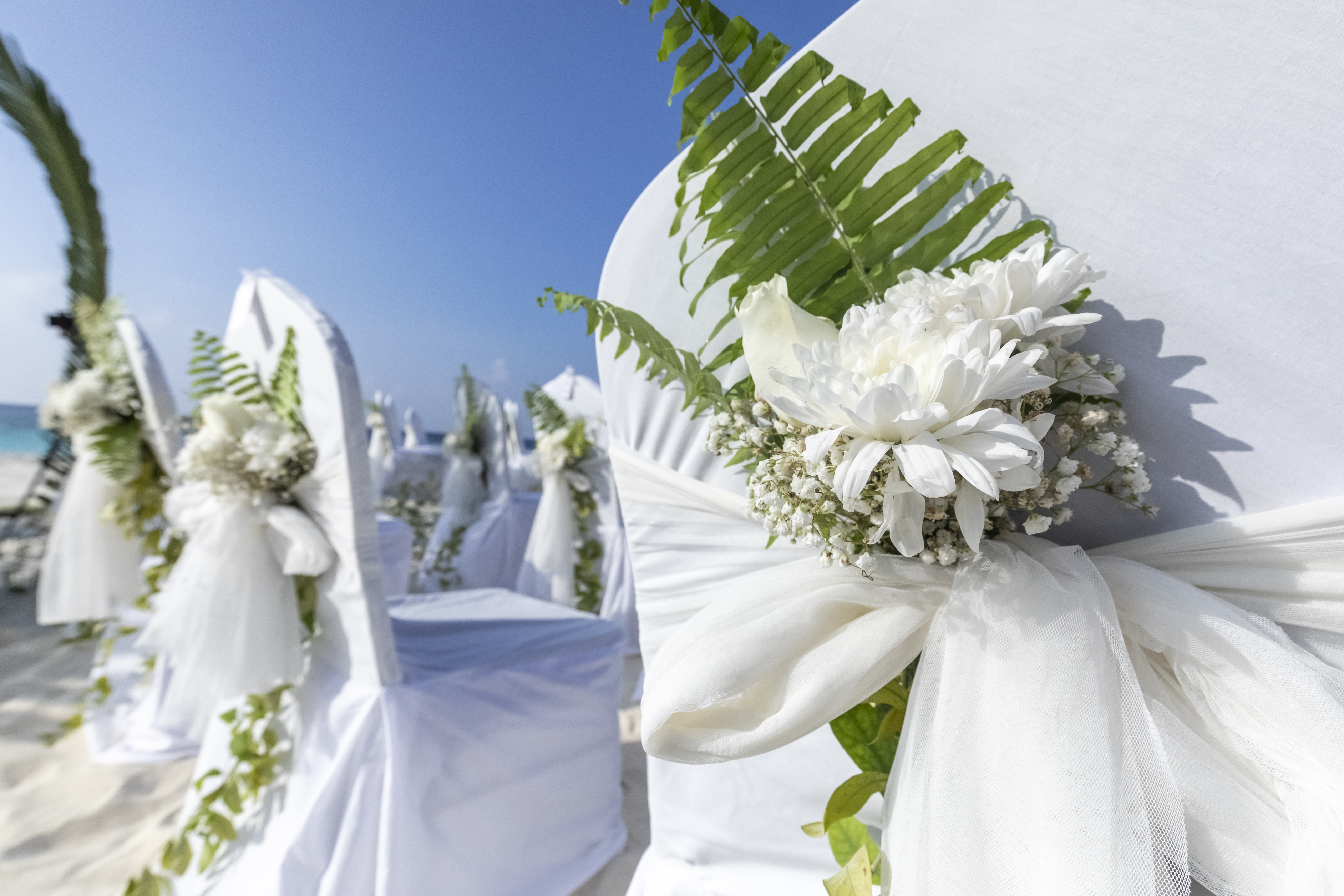 reethi faru resort gallery image 248