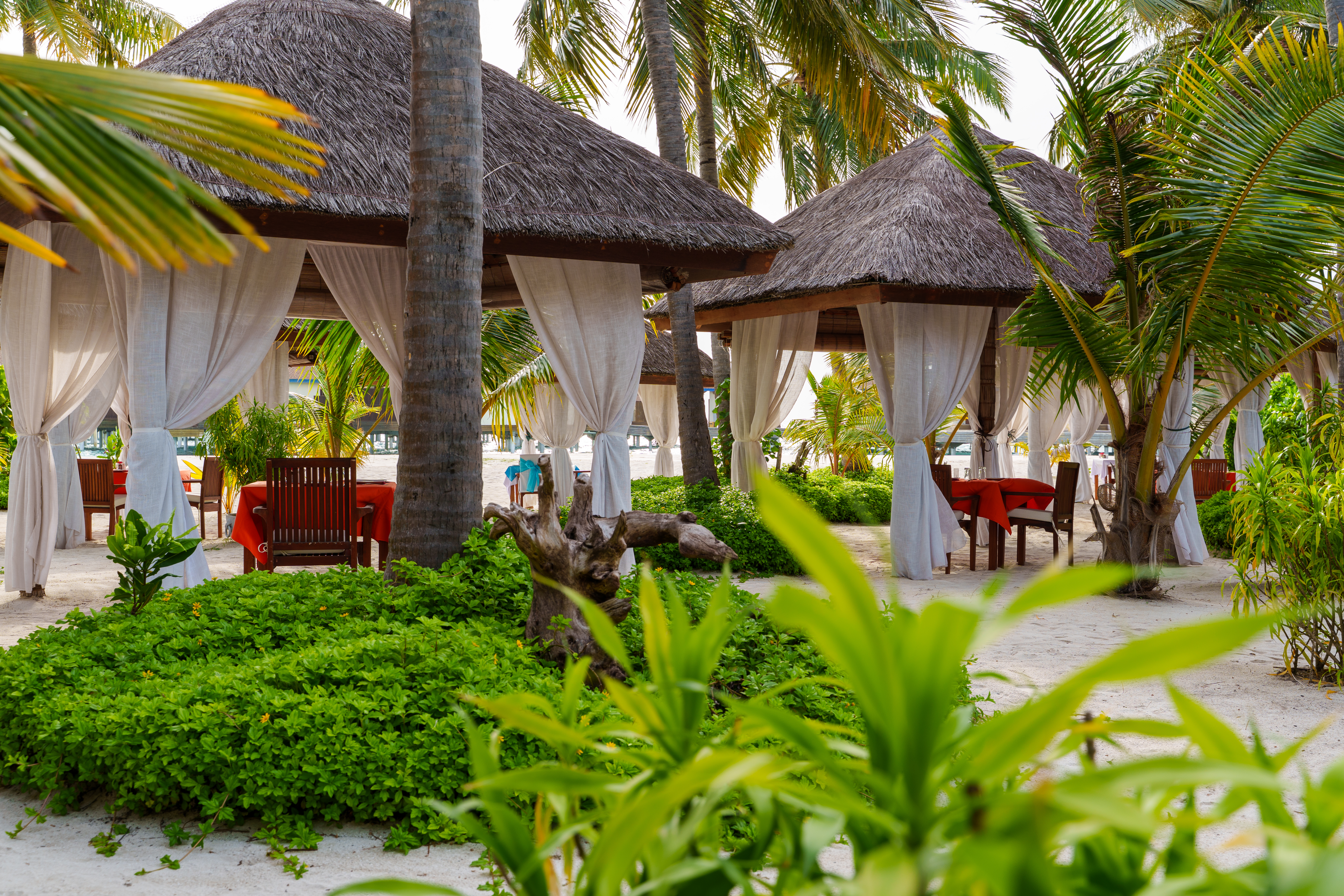 reethi faru resort gallery image 189