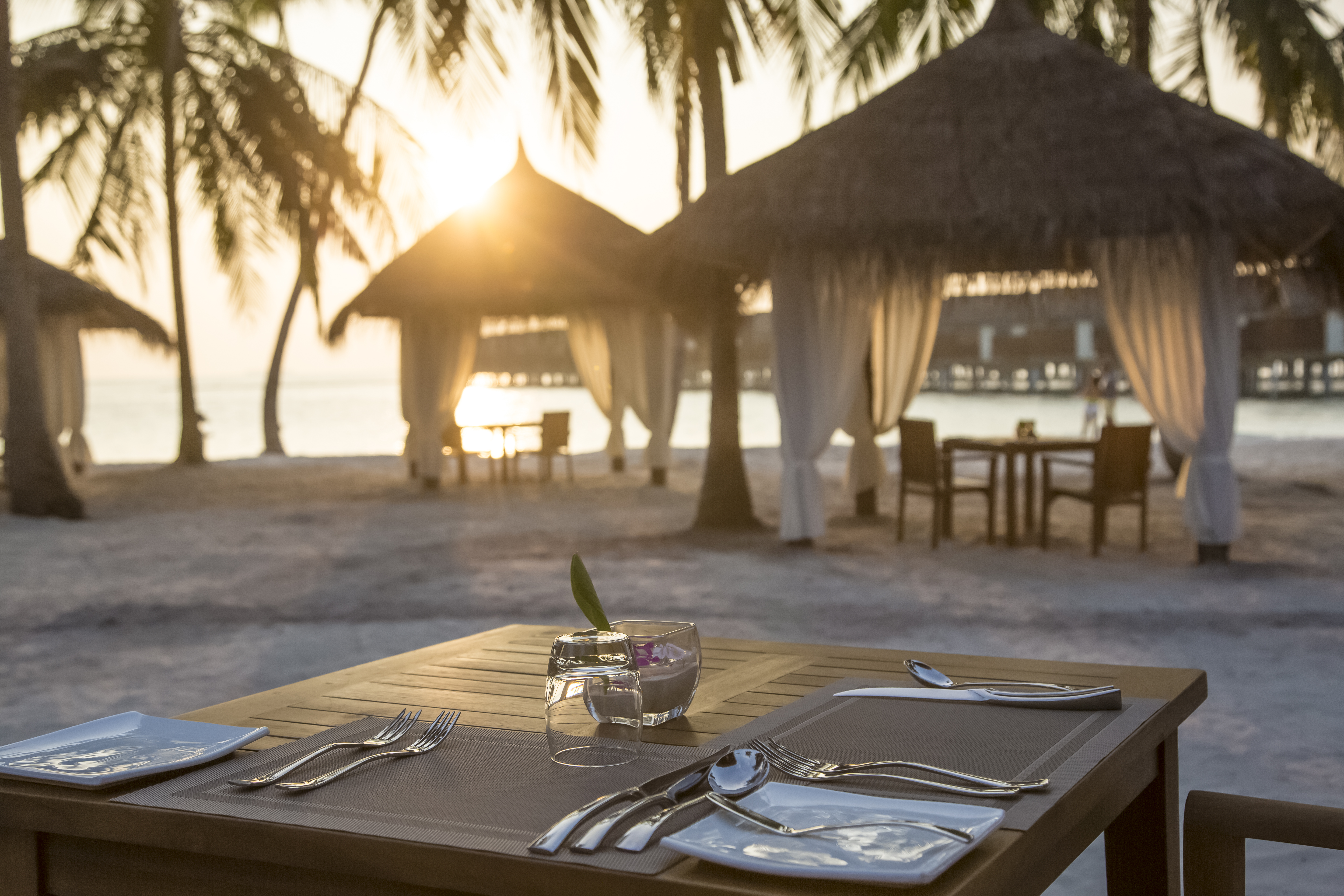 reethi faru resort gallery image 236