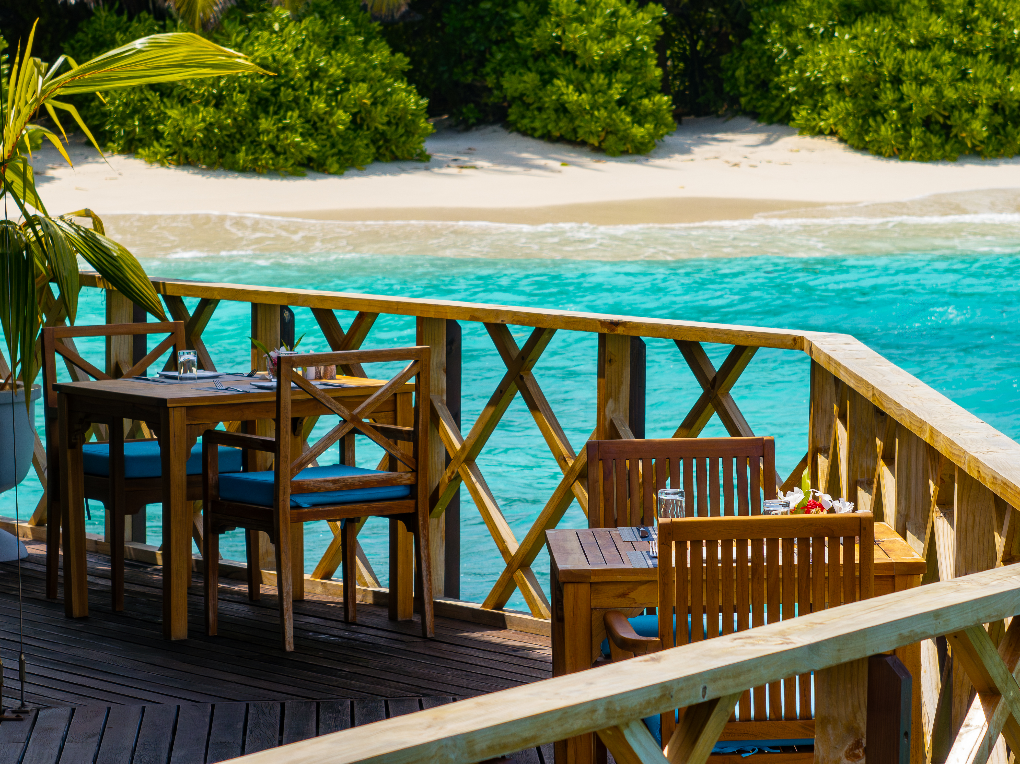 reethi faru resort gallery image 202