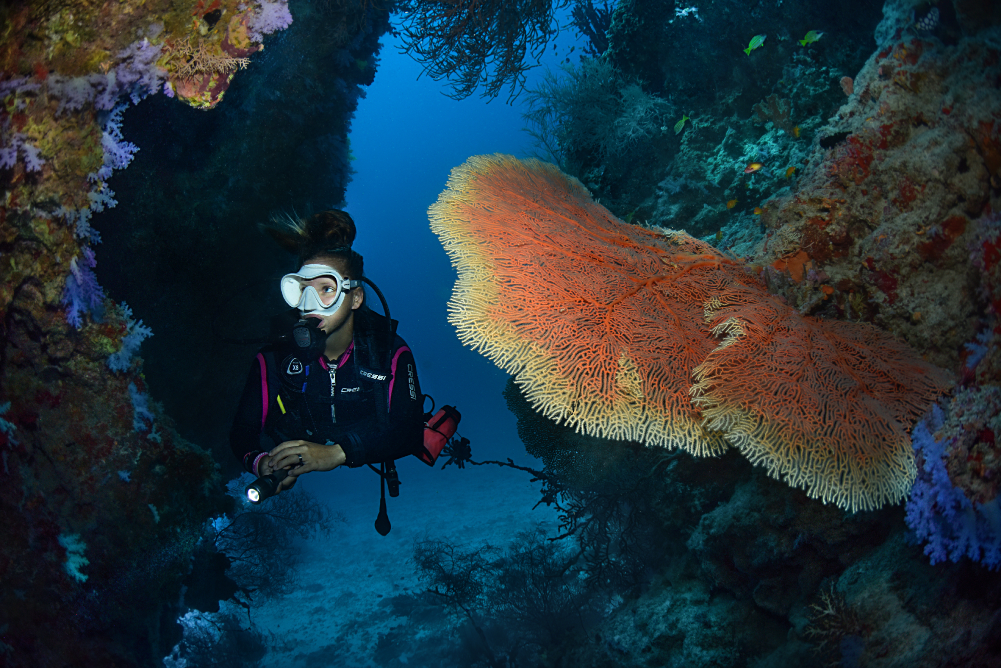 Diving and Snorkeling