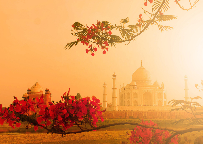 A Taste of India – A Curated Escape