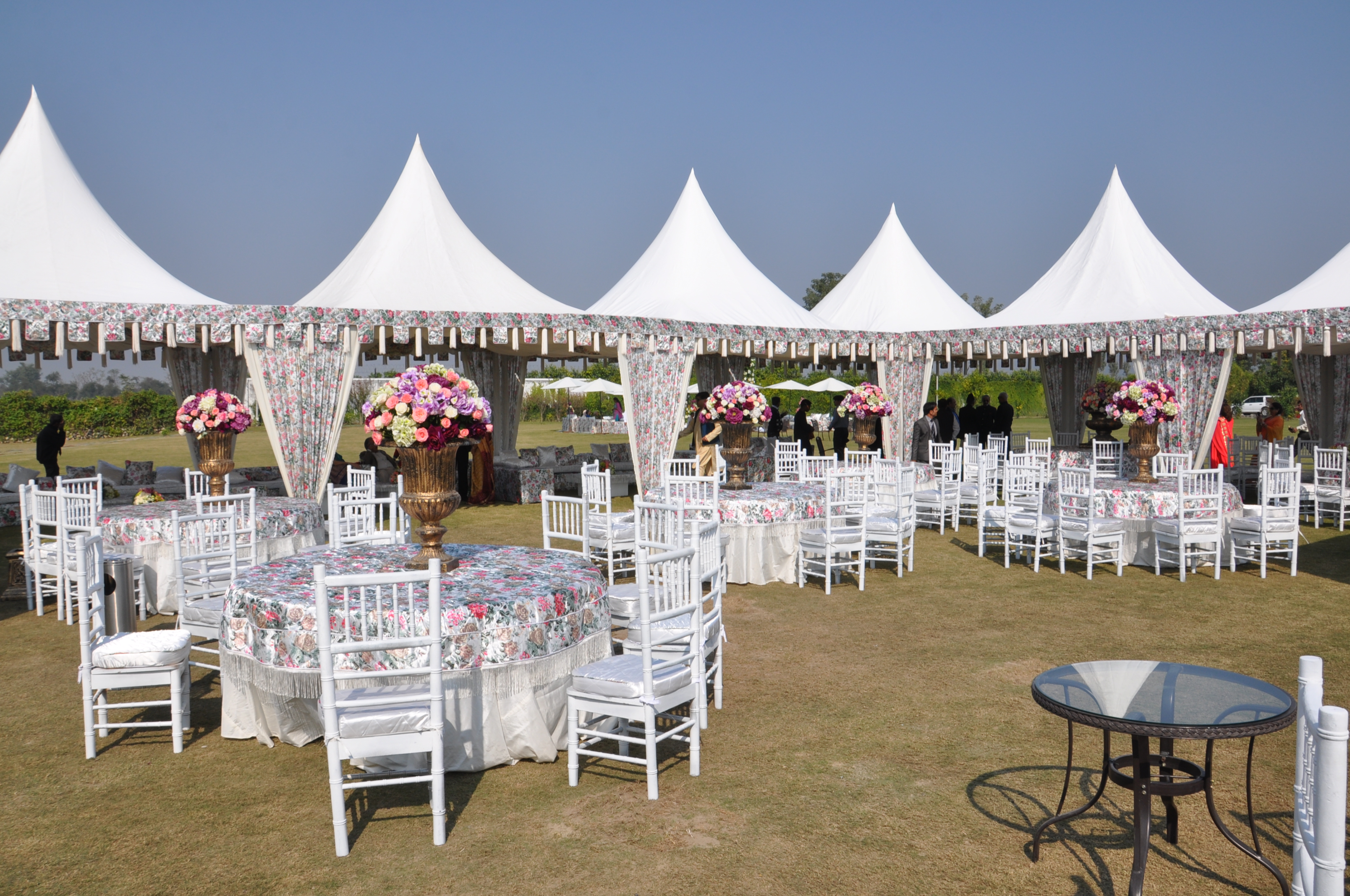 colection Events and Social